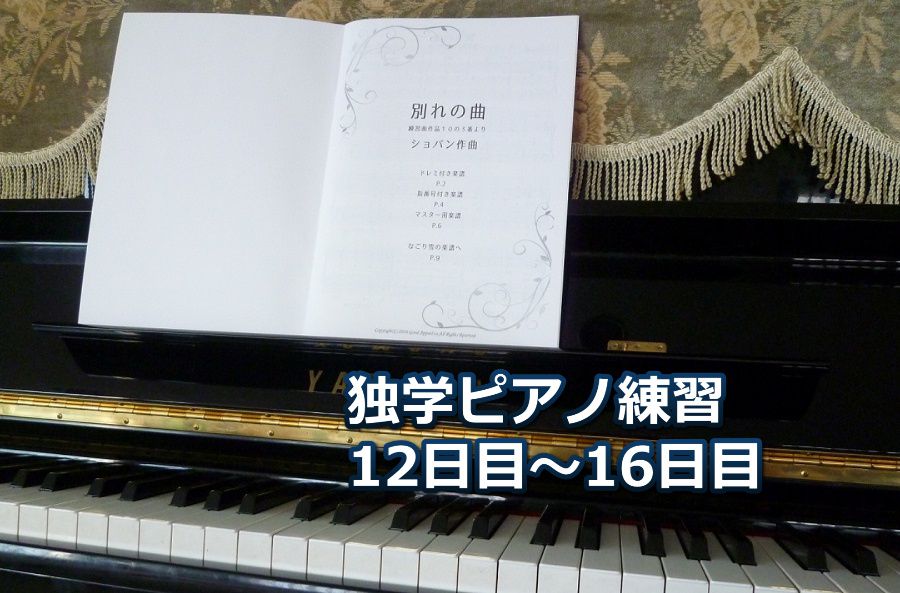 ショパン「別れの曲」初級編を演奏～ピアノ初心者の練習日記