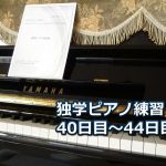 「乙女の祈り」初級編を演奏～ピアノ初心者の練習日記