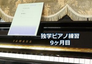「愛は勝つ」中級編を演奏～独学ピアノ練習雑記