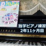 「渚のアデリーヌ」上級編を演奏～独学ピアノ練習雑記