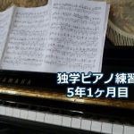 X JAPAN「ENDLESS RAIN」を演奏～独学ピアノ練習雑記